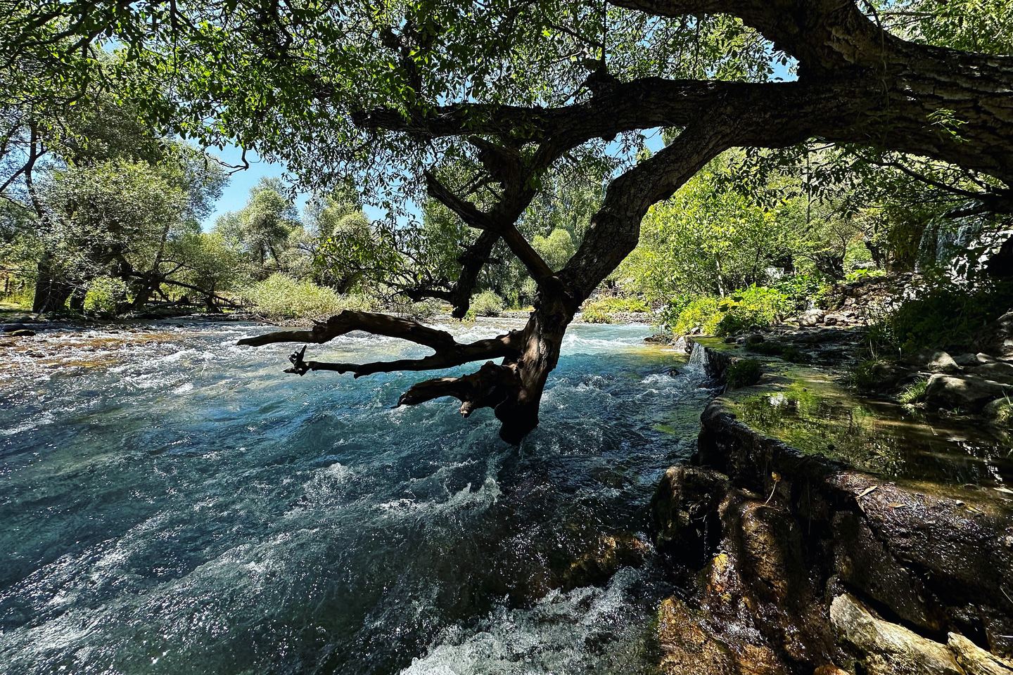 Munzur vadisi — Tunceli